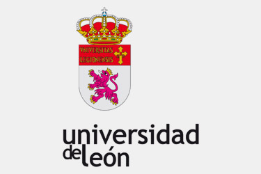 Descripción de la imagen